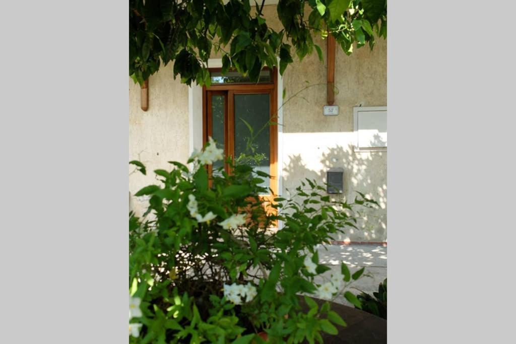 La Casina Di Bruna Mommio Zewnętrze zdjęcie