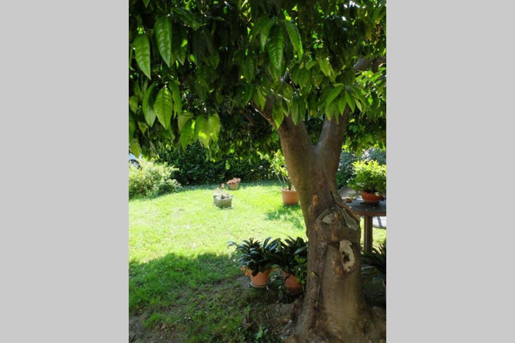 La Casina Di Bruna Mommio Zewnętrze zdjęcie